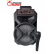 Haut Parleur Bluetooth - Radio FM - MP3 - 2000W PMPO DMSCMD