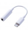 Adaptateur Lightning Male vers Jack Femelle WINMAX WU02