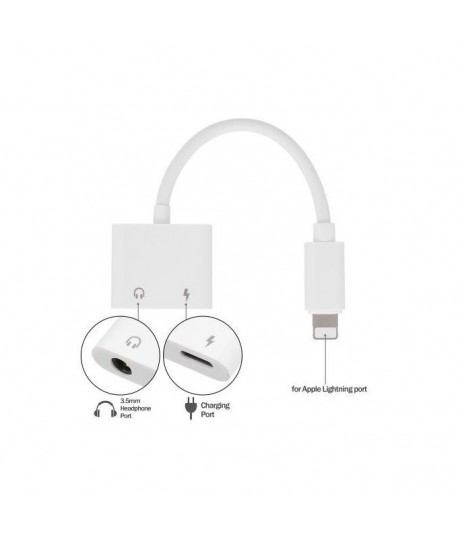 Adaptateur Lightning Male vers Jack Femelle + Port Chargeur