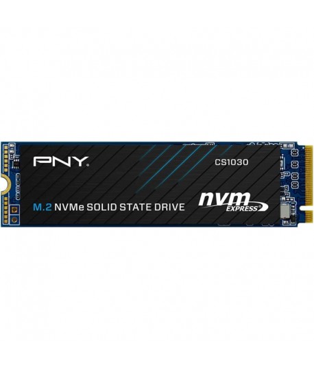 Disque SSD PNY CS1030 250Go M.2 PCI-E 3.0 NVME