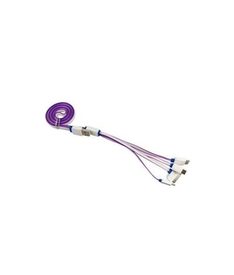 Cable Chargeur 4 en 1 Violet