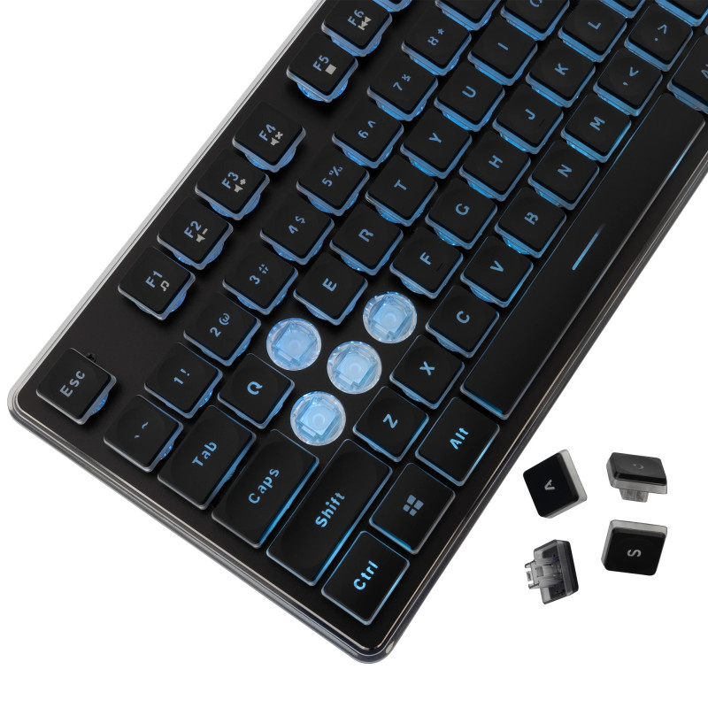 Clavier Gaming Membrane WHITE SHARK TACHI GK-003241 - Noir