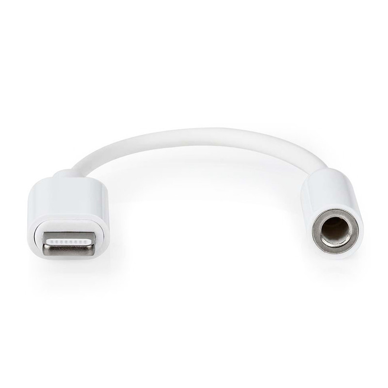 Adaptateur Lightning Male vers Jack Femelle