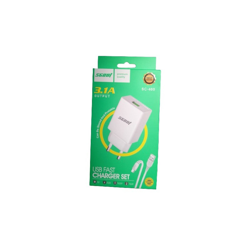 Chargeur Type C 3.1A SCOOT SC-400
