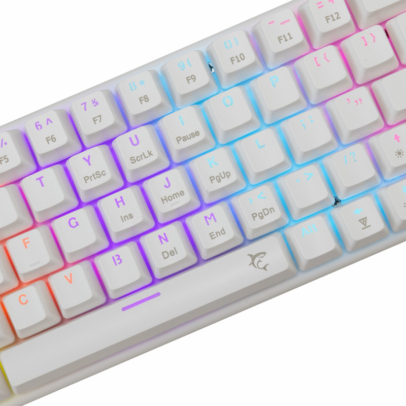 Clavier WHITE SHARK WAKIZASHI-2 GK-002221V2 - Blue Switch - Blanc