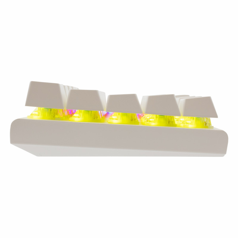 Clavier WHITE SHARK WAKIZASHI-2 GK-002221V2 - Blue Switch - Blanc