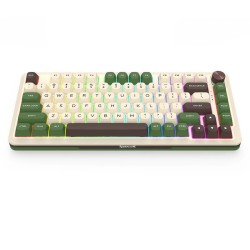 Clavier Gaming Mécanique Sans Fil / Bluetooth REDRAGON CYRUS PRO K681CGC RGB