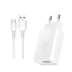 Chargeur USB Type C 2A WUW T47