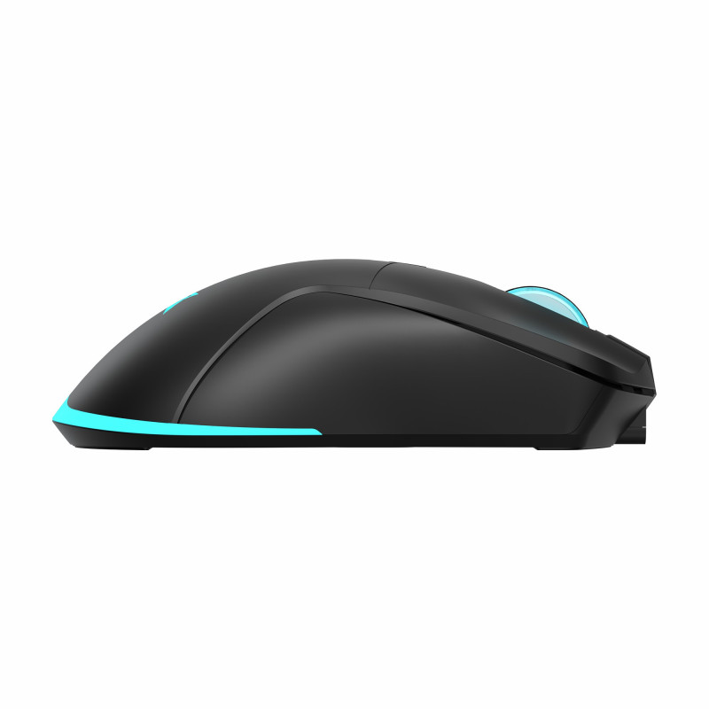 Souris Gaming sans Fil BARACUDA TURTLE BGM-121 - Noir