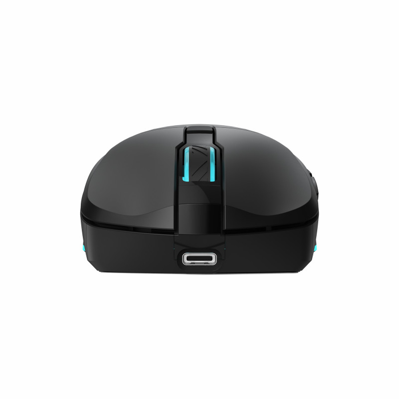 Souris Gaming sans Fil BARACUDA TURTLE BGM-121 - Noir
