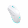 Souris Gaming sans Fil BARACUDA TURTLE BGM-122 - Blanc