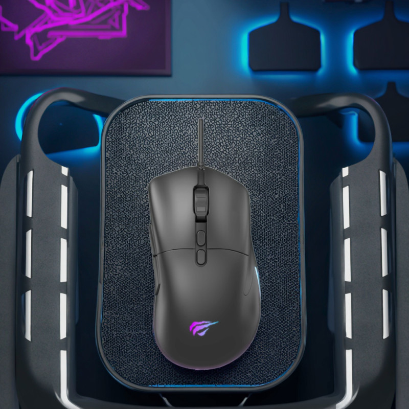Souris Gaming HAVIT MS954 RGB - Noir