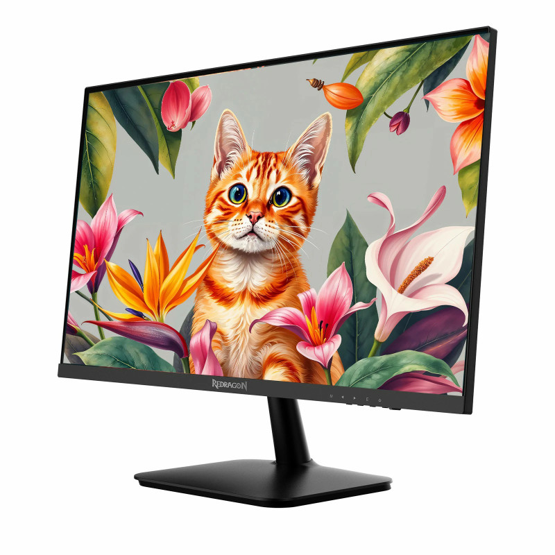 Ecran REDRAGON LEPTIS II 27" QHD 100Hz IPS 2K BM27V9Q-II