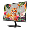 Ecran REDRAGON LEPTIS II 27" QHD 100Hz IPS 2K BM27V9Q-II