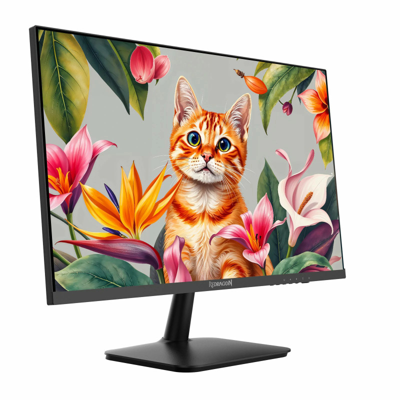 Ecran REDRAGON LEPTIS II 27" QHD 100Hz IPS 2K BM27V9Q-II