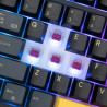 Clavier sans Fil / Bluetooth WHITE SHARK EXCALIBUR GK-007151 - Wine Red Switch - Noir