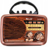 Radio FM Bluetooth GOLON RX-BT032