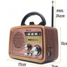 Radio FM Bluetooth GOLON RX-BT-032