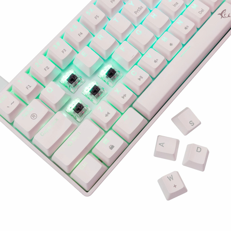 Clavier Mécanique WHITE SHARK SHINOBI 2 GK-004231 - Blanc - Brown Switch