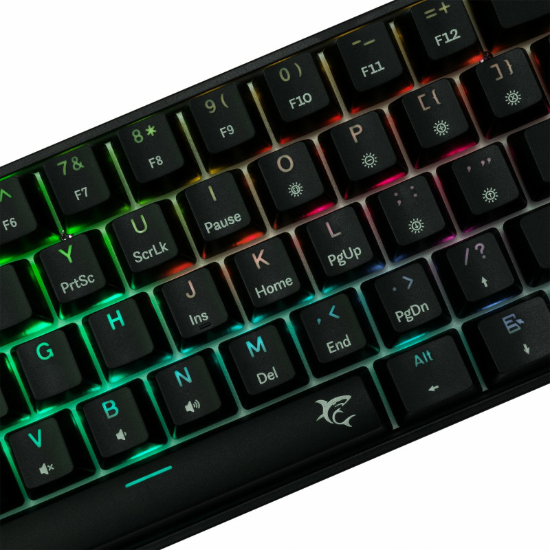 Clavier Mécanique WHITE SHARK SHINOBI 2 GK-004131 - Noir - Brown Switch