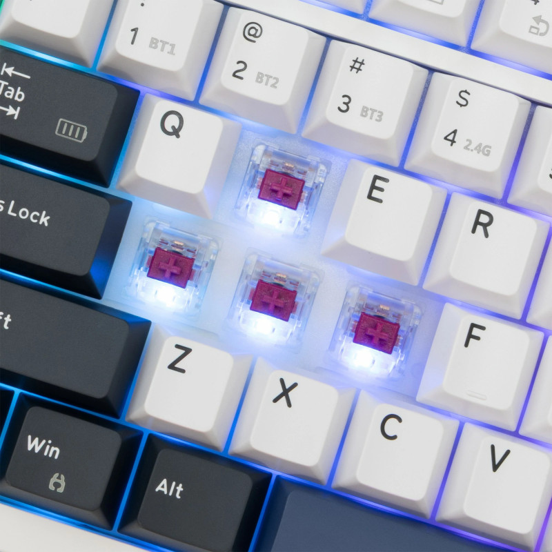 Clavier sans Fil / Bluetooth WHITE SHARK EXCALIBUR GK-007251 - Wine Red Switch - Blanc