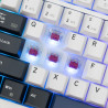 Clavier sans Fil / Bluetooth WHITE SHARK EXCALIBUR GK-007251 - Wine Red Switch - Blanc