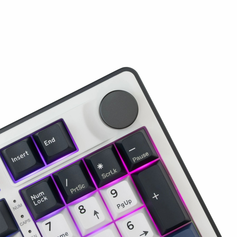Clavier sans Fil / Bluetooth WHITE SHARK EXCALIBUR GK-007251 - Wine Red Switch - Blanc
