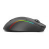 Souris REDRAGON DEICIDE PRO M816-PRO RGB - Noir
