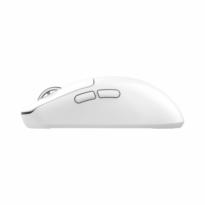 Souris sans Fil / Bluetooth WHITE SHARK BORS WGM-5021 - Blanc