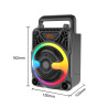 Haut Parleur Bluetooth SING-E ZQS-1366 RGB avec Microphone - Noir