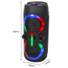 Haut Parleur Bluetooth SING-E ZQS-4292 RGB avec Microphone - Noir