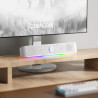 Barre de Son Gaming REDRAGON ADIEMUS RGB GS560 - Blanc