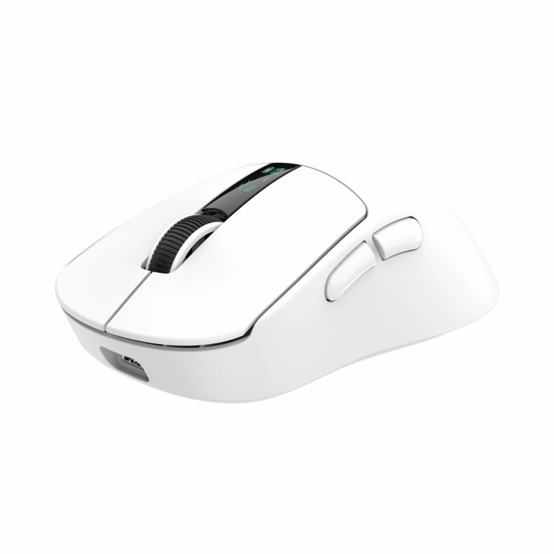 Souris sans Fil / Bluetooth WHITE SHARK GAWAIN WGM-5023 - Blanc