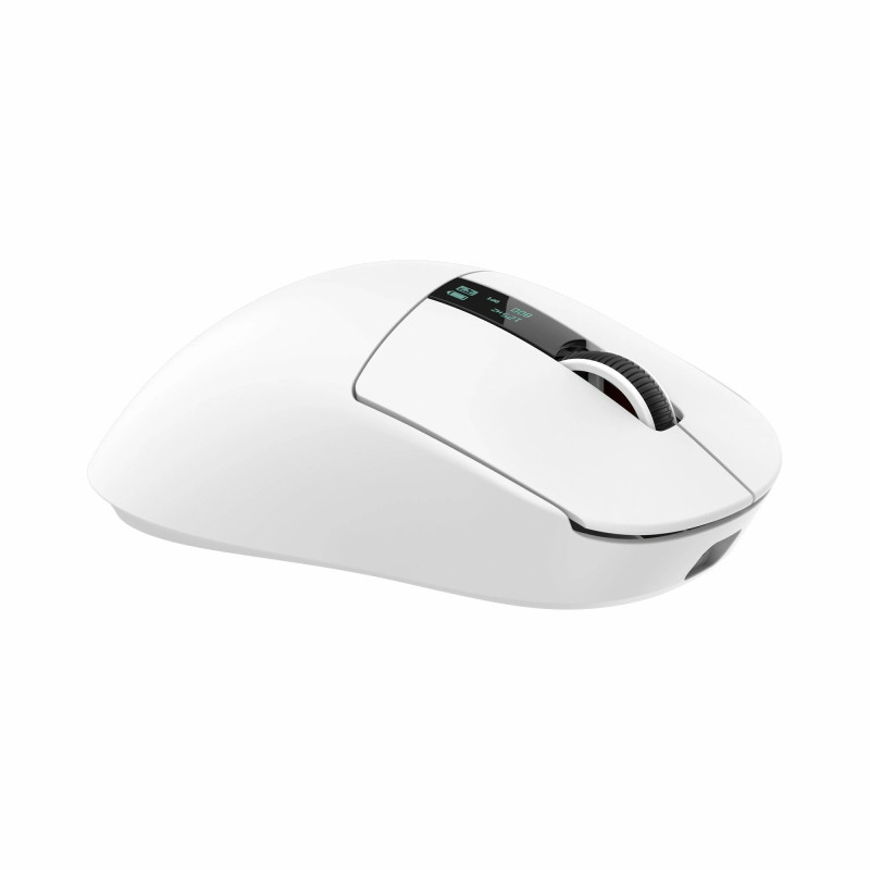 Souris sans Fil / Bluetooth WHITE SHARK GAWAIN WGM-5023 - Blanc