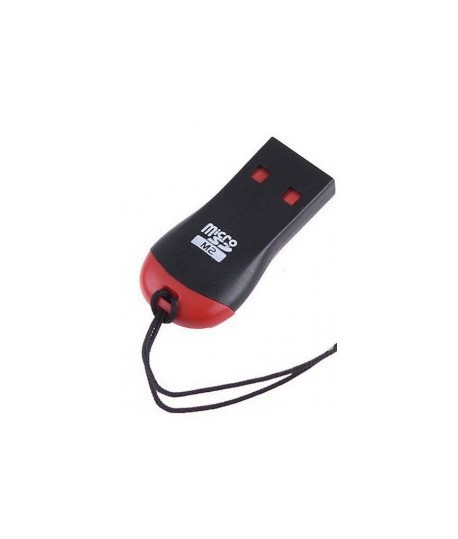 Mini Lecteur de cartes mémoire Micro SD