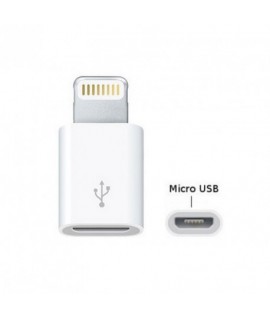 Adaptateur Lightning Male vers Micro USB Femelle
