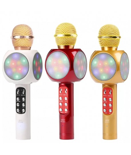 Microphone Karaoké KTV WS-1816 avec LED